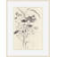 Autumn Seed Heads 2 Print-343804765