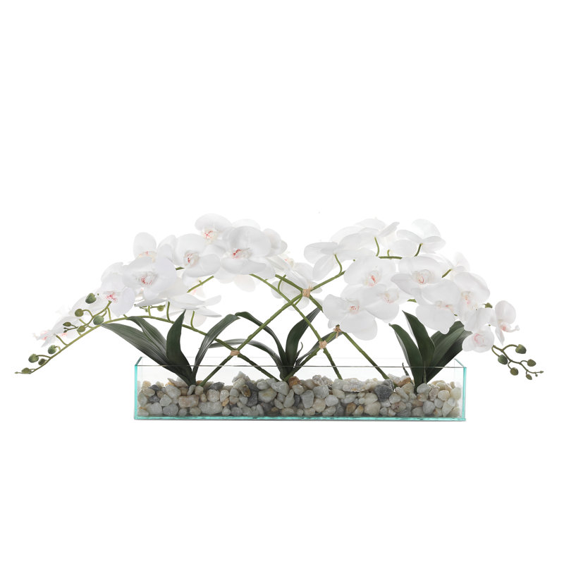 Elegant White Orchid Centerpiece in Glass Vase with Rocks