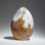 Polished Ocean Jasper from Madagascar (3.9 Lbs)