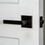 Viaggio Quadrato Rosette Privacy (Bed & Bath) with Lusso Lever-868670192-868670193-868670190
