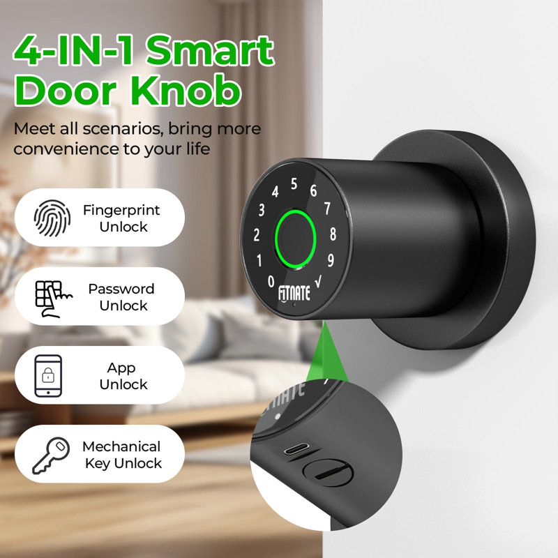 Matte Black Smart Fingerprint Door Knob with Keypad and App Control
