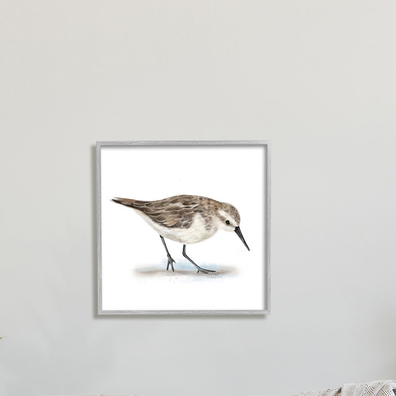 Charmant bécasseau sur un sable doux, oiseau nautique brun - impression, Giclée encadrée blanc bord de mer, H 24 po x l 24 po