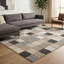 Caylyn Area Rug-1830507979-1830507978