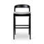 Modern Brazilian Velma Counter Stool-574982016-574982040
