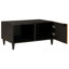Coffee Table with Storage