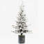 Arbre de Noël 2 pi-975274497