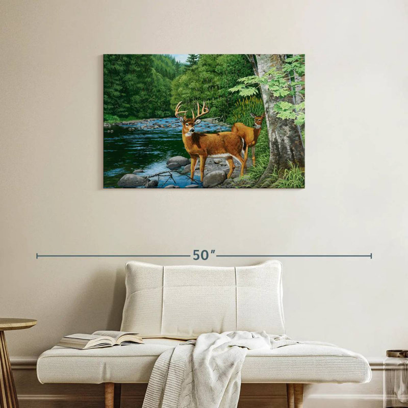 Cerf de Virginie Brampt Streamside, H 24 po x l 36 po