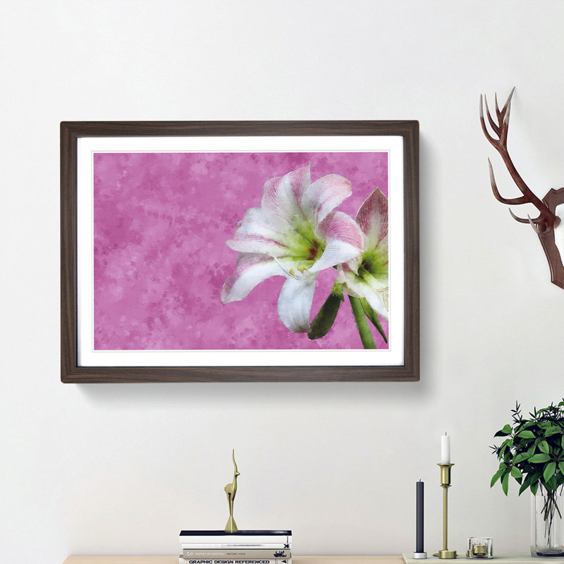 Pink and White Amaryllis Flower - Picture Frame Painting Print, Walnut Framed, 62cm H x 87cm W x 2cm D