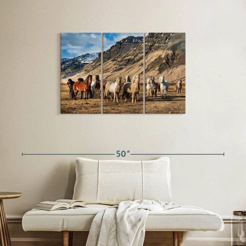 Brampt, chevaux islandais à la campagne, H 24 po x l 38 po