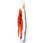 Gruia Wall Decor