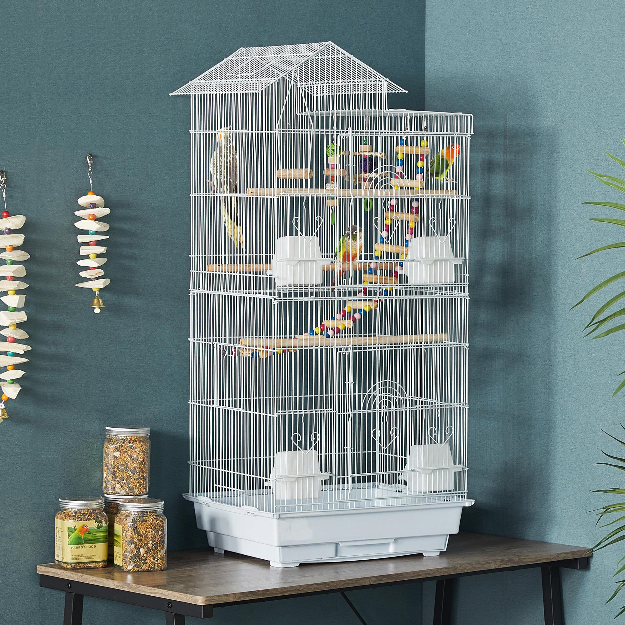 Parapluie Transparent Design Cage à Oiseaux – Idéal Pour Enfants Et Adultes Fan De Nature