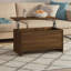 Hydia Lift Top Sled Coffee Table with Storage-1035314952-1035314954