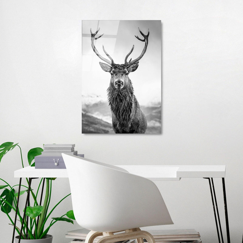 Boze Wall Decor