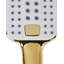Shower Head and Hose Kit TINGO-68892338