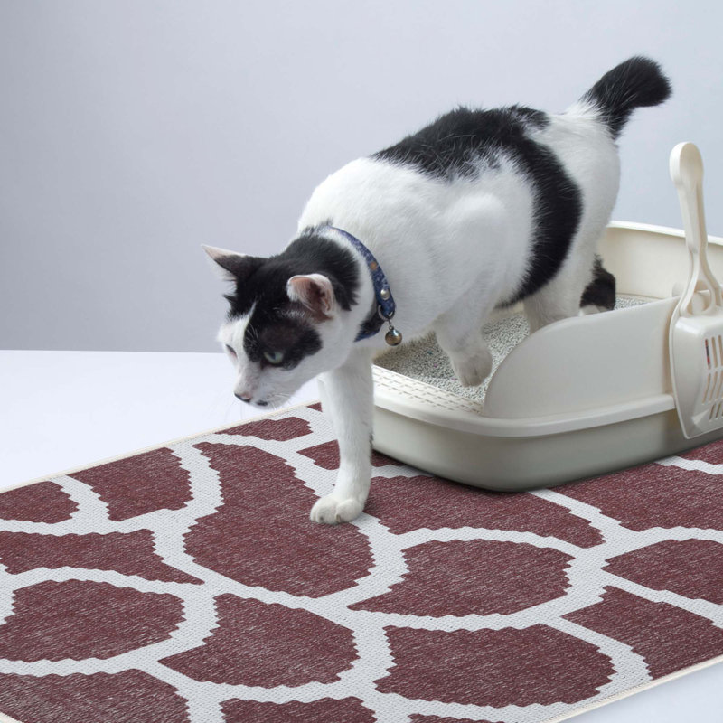 Tapis de litière, Marron