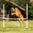Midlee Plastic Agility Training Equipment with Carrying Case