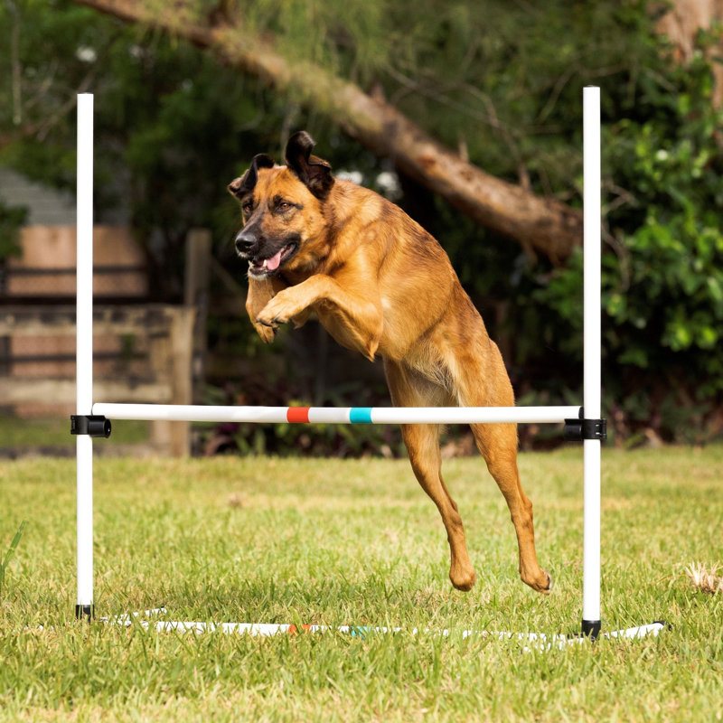 Adjustable White Plastic Dog Agility Bar Jump