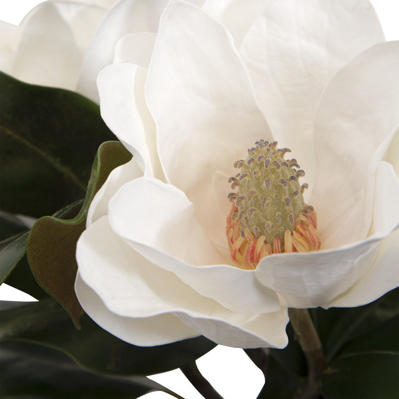 Centre de table magnolia dans un vase