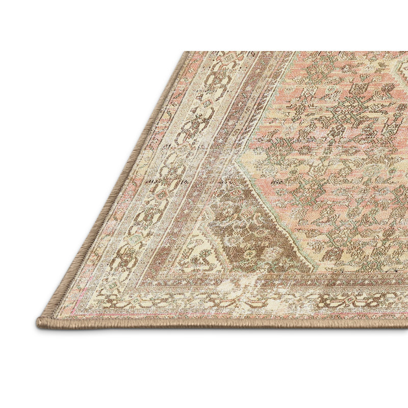 Cialan Oriental Indoor Rug, Rectangle 4' x 6'