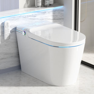 Smart Toilet