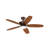 52'' Ceiling Fan with LED Lights-894715741