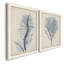 Indigo Coral-1687557495-1687523539-1687523541