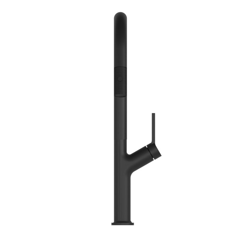 DAX Single Handle Pull Out Kitchen Faucet, , Matt Black