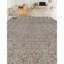 Wool Oriental Area Rug in Gray