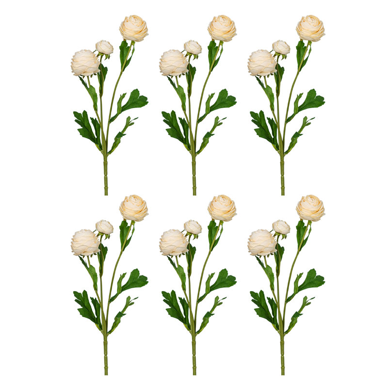 Ensemble de 6 fleurs de bouton d'or Audet, Champagne