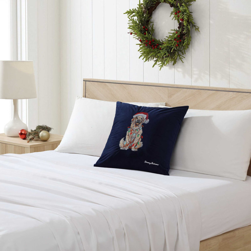 Pillow Cover & Insert, Square, Blue/Beige/Red, 20" H x 20" W