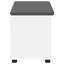 Storage Bench-1191774919-1191774905