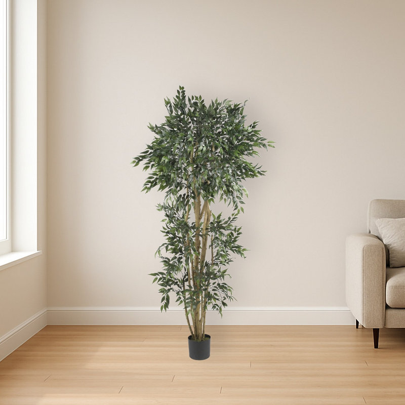 Green Ash Silk Tree