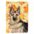 Brown German Shepherd