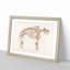 Mammoth Skeleton by Charles d' Orbigny - Picture Frame Graphic Art Print-55576643-55576644