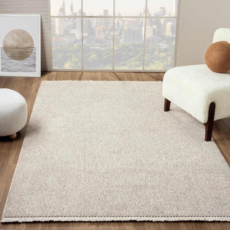 Textured Fringed Area Rug, Rectangle 5' x 7', Beige