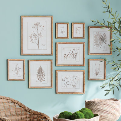 Botanical Study In Sepia