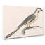 Parrot by Johan Teyler - Wrapped Canvas-55338795