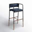 Brenan Upholstered Bar Stool with Metal Frame-79905418-98496643