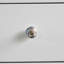 Nicola Spring - Round Ceramic Cabinet Knobs - Black Blooms