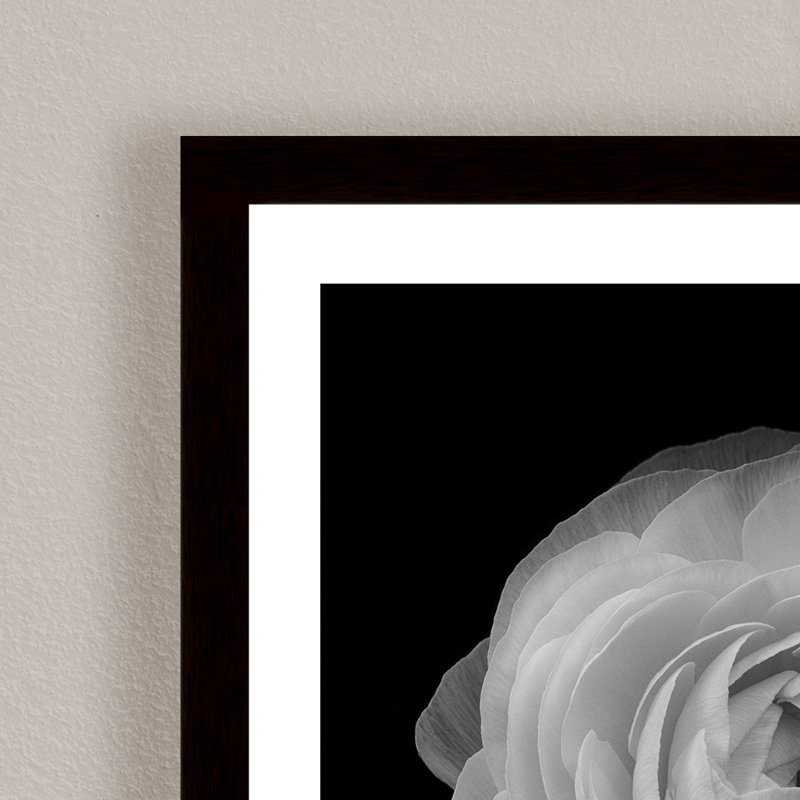 Nature Inspired Ranunculus by  - Picture Frame Photograph on Paper, 24" H x 24" W 