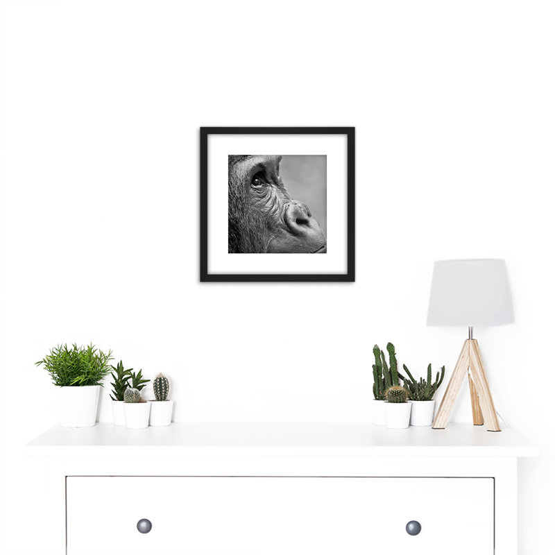 Gorilla Ape Face Head Photo - Single Picture Frame Print