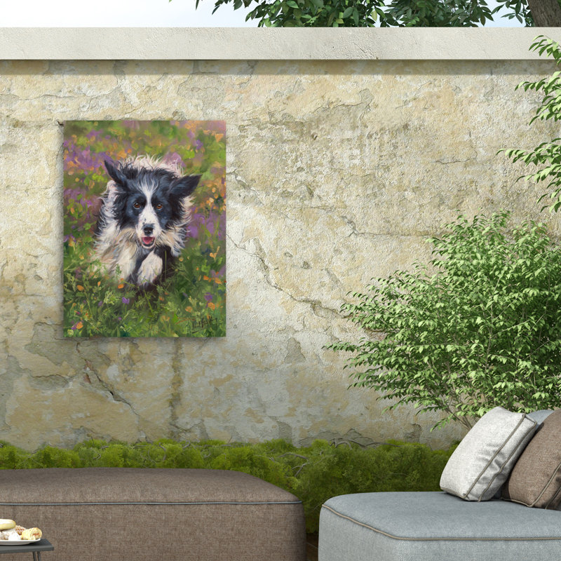 Toile d'extérieur David Stribble Border Collie, H 14 po x l 19 po