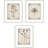 Wildflower Stems I Framed Art
