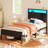 Bed Frame with Headboard, Metal Platform bed with LED Lights, Power Outlets & Under-Bed Storage-88418601-88418599-88418603