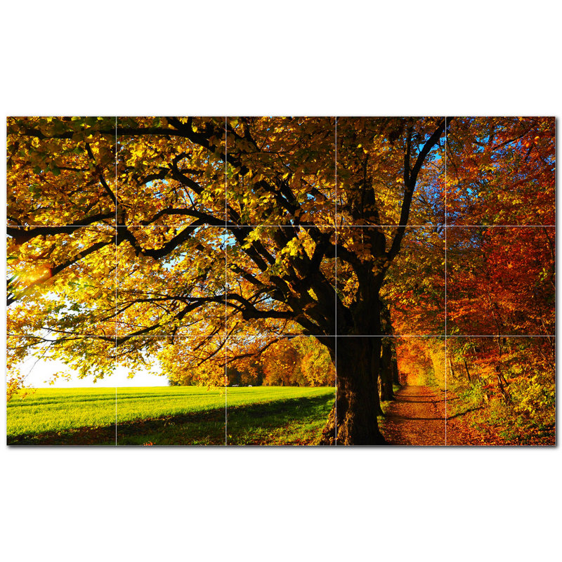 Photo d'automne 8 x 8