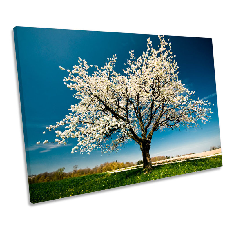 Spring Blossom Tree Landscape - Wrapped Canvas Print, 61cm H x 91.4cm W x 4cm D