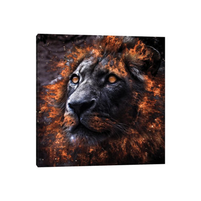 " Alpha " by Paul Haag