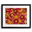 Study In Petals Print by Harold Davis-71199939-71199940
