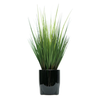 30" Grass in glossy black smooth ceramic tripod