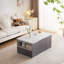 Assal Lift Top Frame Coffee Table with Storage-646334663-646334656